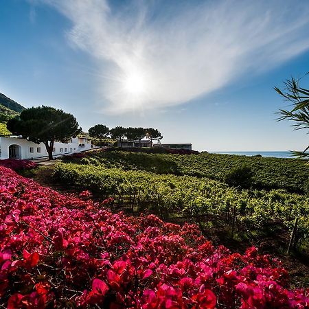 Capofaro Locanda & Malvasia Мальфа Экстерьер фото